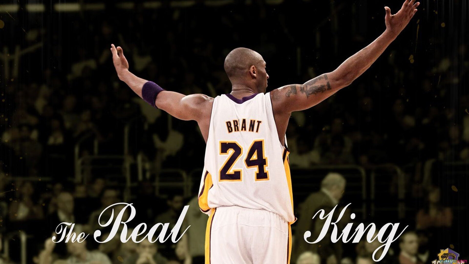 体育新闻中心裁判视角透析，体育新闻赛事