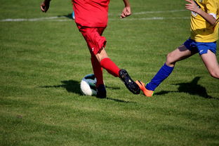 中国足球青训联盟举办多层次足球比赛，中国足协青训中心